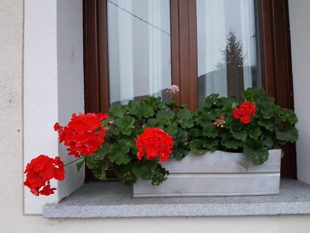 Apartment Chez Pepe Louis Aosta