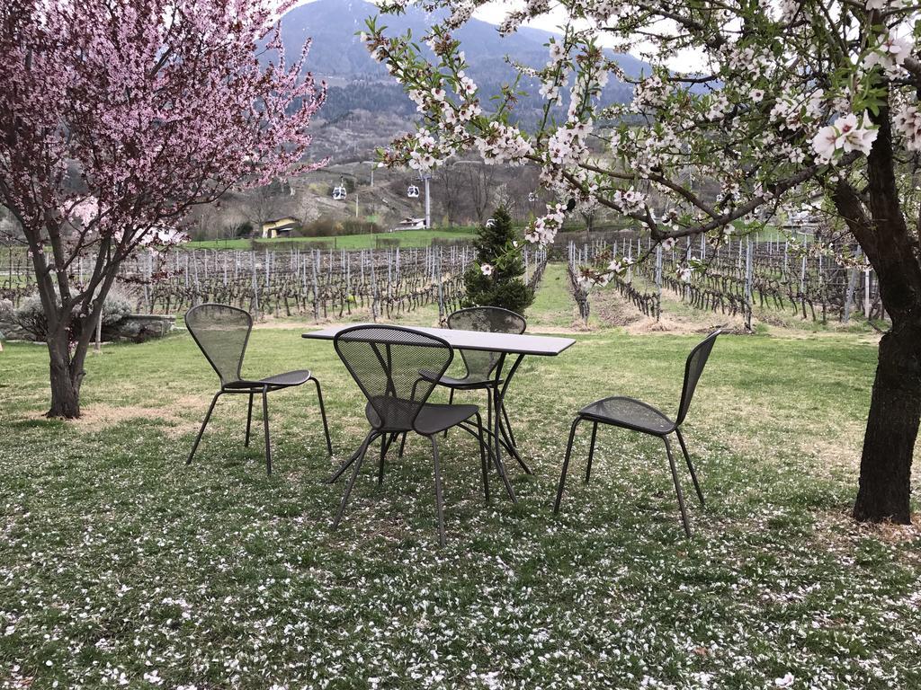 Apartment Chez Pepe Louis Aosta